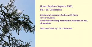 Homo Sapiens - A Poem by J W Cassandra at UpDivine