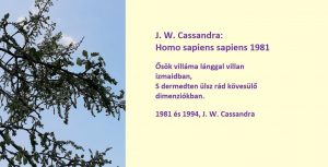 Homo Sapiens - A Poem by J W Cassandra at UpDivine