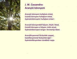 Hunagarian Beauty poem