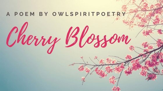 Cherry Blossom | A short Poem by OwlSpiritPoetry at UpDivine