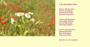 Hush | Hungarian Poem by J.W. Cassandra at UpDivine