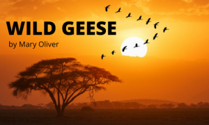 Wild Geese mary oliver