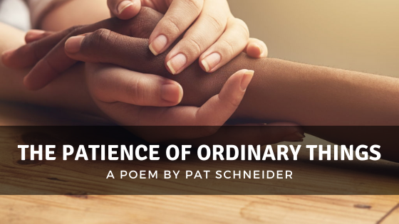 The Patience of Ordinary Things by Pat Schneider