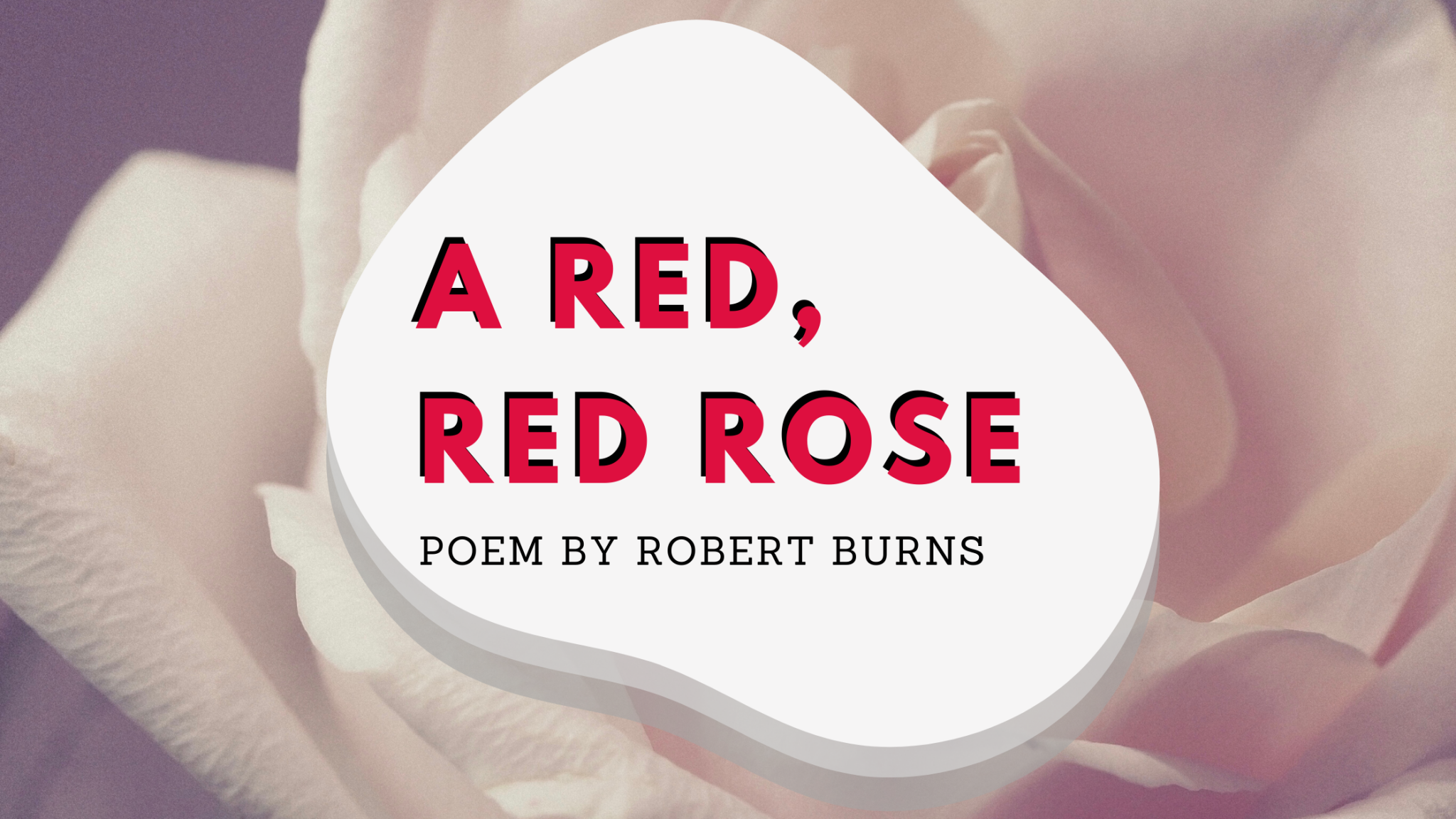 A Red, Red Rose by Robert Burns