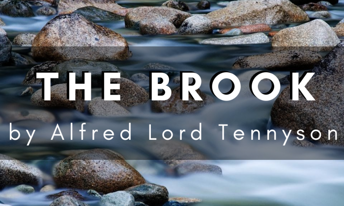 The Brook by Alfred Lord Tennyson